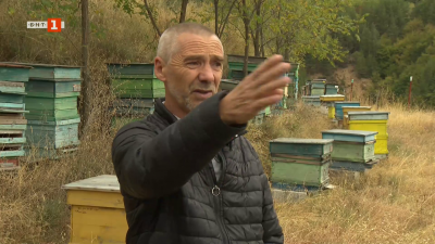 Пчелин и градина с люти чушки високо в Родопите