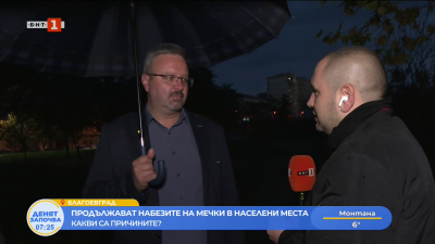 Какви са причините за зачестилите случаи на набези на мечки в дворове 