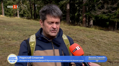 По следите на кафявата мечка - 14 фотокапана проследяват хищниците у нас 