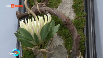 Картини от цветя - първа авторска изложба на флориста Святослав Събчев