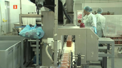 Модерна консервна фабрика в сезона на лютеницата 