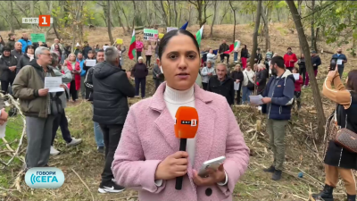 Жители на Свищов срещу изсичане на гора