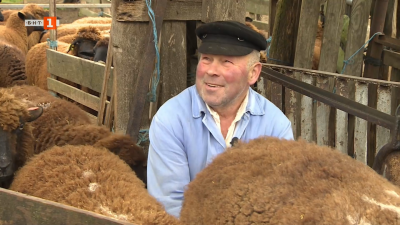 Фермата на бай Иван от Аксаково