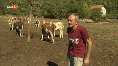 Христо Христов от село Бракьовци