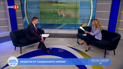 Акценти от социалните мрежи