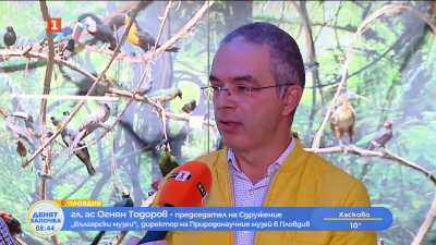 Музеите с искане за по-високо финансиране 