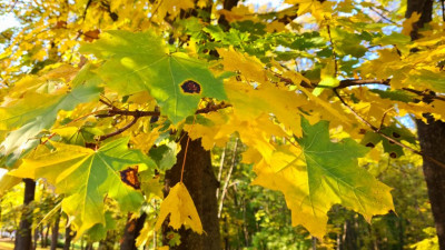 Предимно слънчево, с максимални температури между 18° и 23°