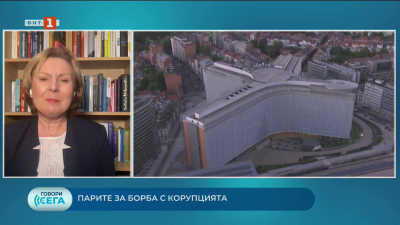 Парите за борба с корупцията - коментар на Десислава Апостолова