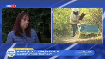 Производството на мед и браншът