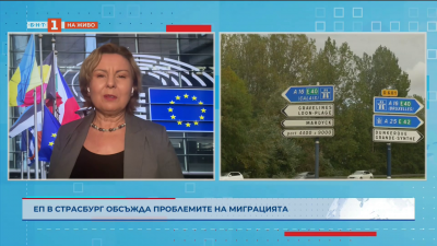 ЕП в Страсбург обсъжда проблемите на миграцията