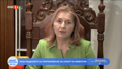 Нови детайли по делото за жестокост към животни