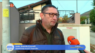 Мечка по улиците на Карлово - какви действия ще бъдат предприети?