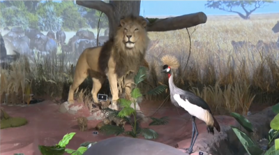 Пловдивският музей с експозиция на редки видове животни от Африка и Австралия