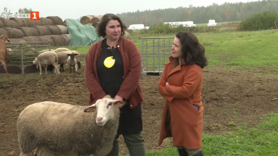 Две приятелки от Полша, които имат къща за гости, ферма и мандра за бутикови сирена