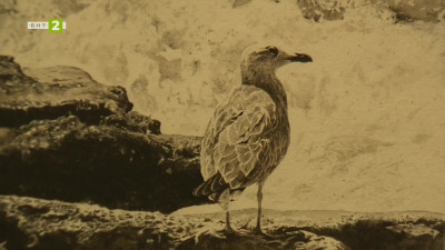 Средата на лятото - изложба на Атанас Мацурев