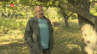 Графичен дизайнер изоставя градския живот, за да отглежда орехи