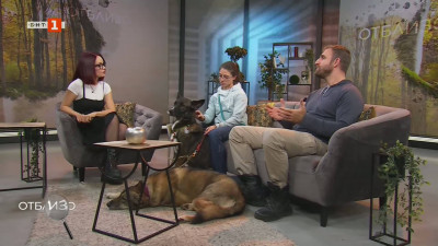 Нова безплатна кампания за обучаване на кучета спасители