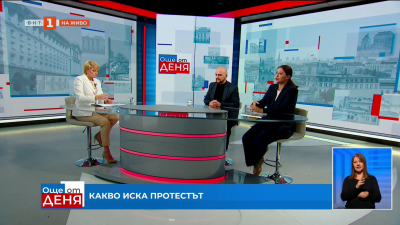 Какво иска протестът - анализ на социолога Евелина Славкова и политолога Светлин Тачев