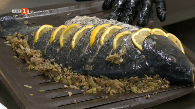 Какво се случва с българското рибовъдство и с промишления улов