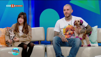 Как да подготвим кучетата за зимните разходки