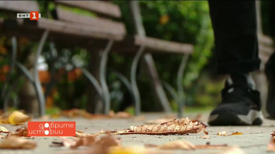 Добрите истории: Да останем близо до природата в града