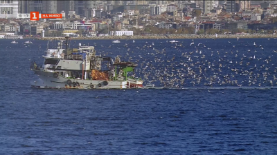 Летящи разкази: Орнитологът Боян Мичев с проект С полета на птиците по пътя към Антарктида