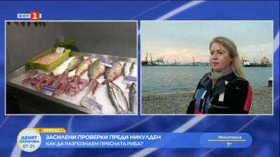 Засилени проверки преди Никулден - как да разпознаем прясната риба?