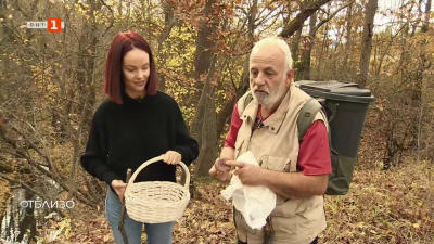 За гъби с Димитър Лазаров 