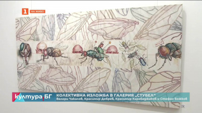 Четирима художници с колективна изложба в галерия “Стубел”