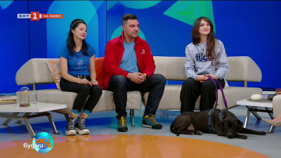 Благотворителен концерт в помощ на бездомните кучета „Коледна светлина и радост