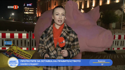 Множество българи протестираха с искане за оставка на правителството 