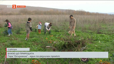 Гора Осъзнание - един по-различен проект  край село Круша 