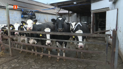 Как изглежда една средноголяма фамилна ферма в Полша?