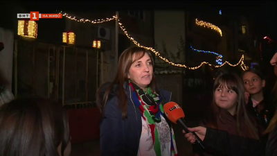 Жена от Благоевград сама превърна улицата, на която живее, в коледна феерия
