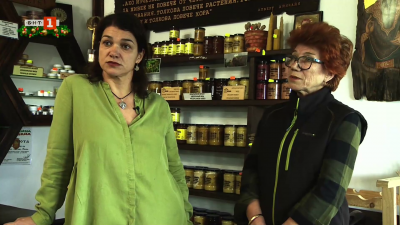 Среща с хора, които минават през своите големи и малки битки, отдадени на света на пчелите.