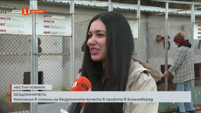 Бездомничета: Кампания в помощ на бездомните кучета в приюта в Благоевград