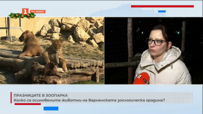 Колко са осиновените животни на Варненската зоологическа градина?