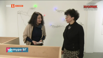 Изложбата Време за пари до 17 януари в Института за съвременно изкуство 