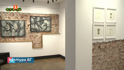 Изложбата „Нови линии“ – Четирима художници с общ поглед