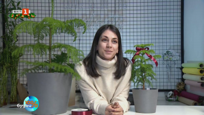 Зелени празници с Линда Терзийска