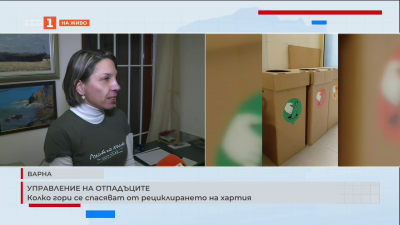 Кампанията “Лист по лист” във Варна: Колко гори се спасяват от рециклирането на хартия