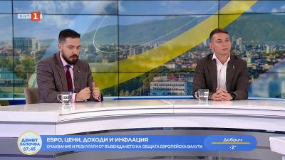 Очаквания и резултати от въвеждането на общата европейската валута - коментар на Адриан Николов и Стоян Панчев