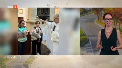 Добрата новина: Отец Жоао Паоло Гарсия, който превръща черквата си в дом за спасение за десетки бездомни кучета