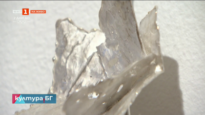 “Смяна на фокуса” -  изложба на Мирена Златева