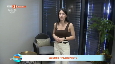 Как да подберем цветя за дома си 