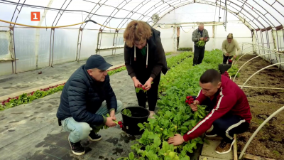 Среща с Георги и Паулина - производители на разсад от Долни Дъбник