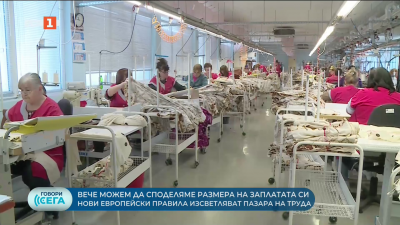 Нови европейски правила изсветляват пазара на труда