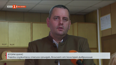 Горски служители спасиха сръндак, блъснат от кола