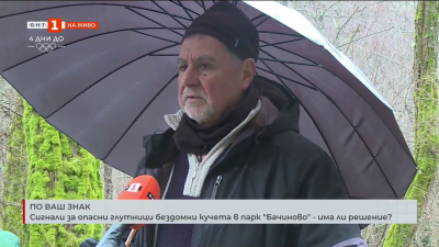 Сигнали за опасни глутници бездомни кучета в парк Бачиново