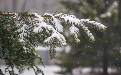 Валежи от дъжд и сняг във вторник